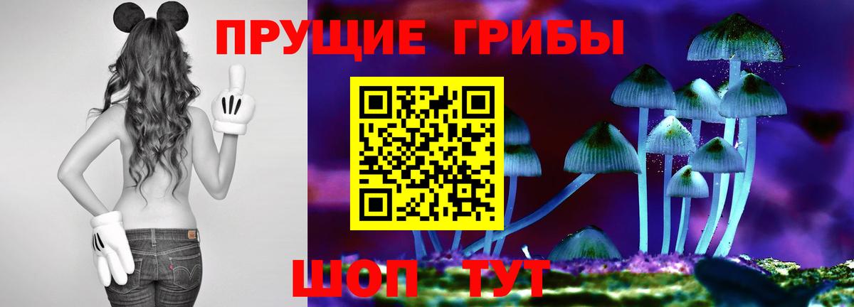 Качканар  купить закладку  Вход с VPN  Псилоцибиновые грибы Magic Shrooms  Галлюциногенные грибы ЛСД 